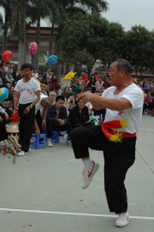 莫家拳是中国传统拳术中的南拳之一